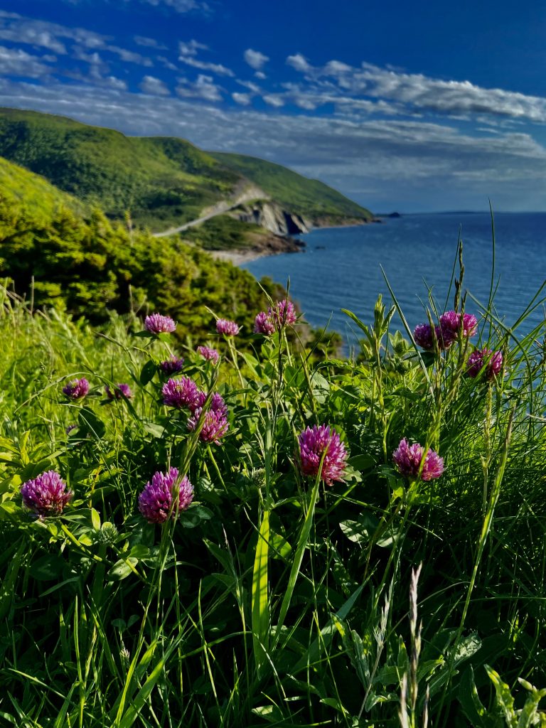 Cape Breton Road Trip